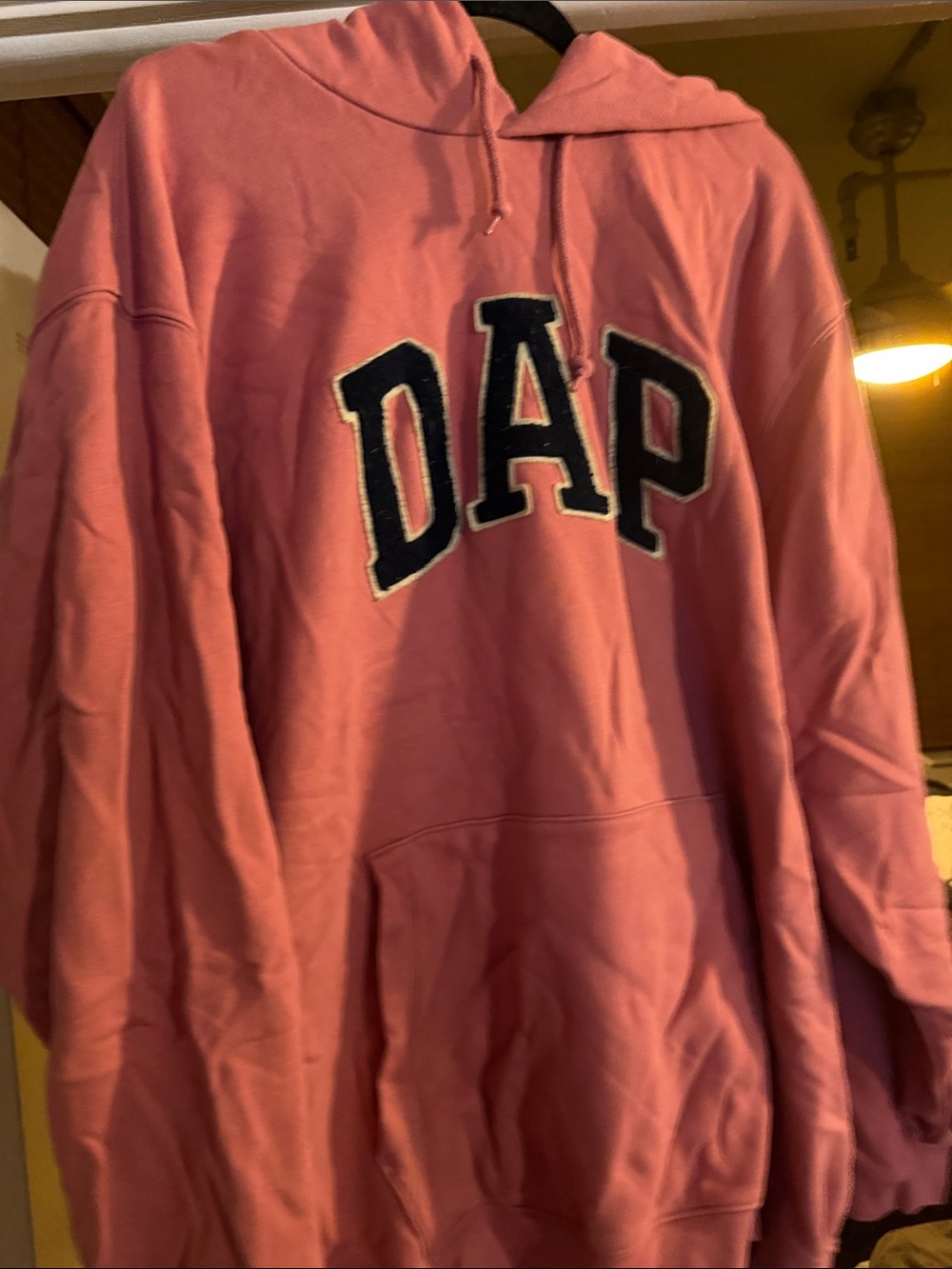 GAP Pink Hooded Sweatshirt with Navy Applique Logo